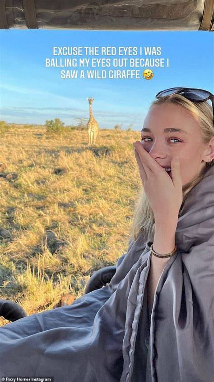 Wildlife:&nbsp;Later on, the smitten duo could be seen watching a lion sleep and a peering giraffe from the open window of their safari jeep